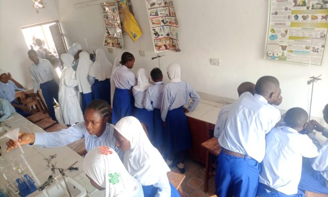 Lamo Model College, Osogbo (12)